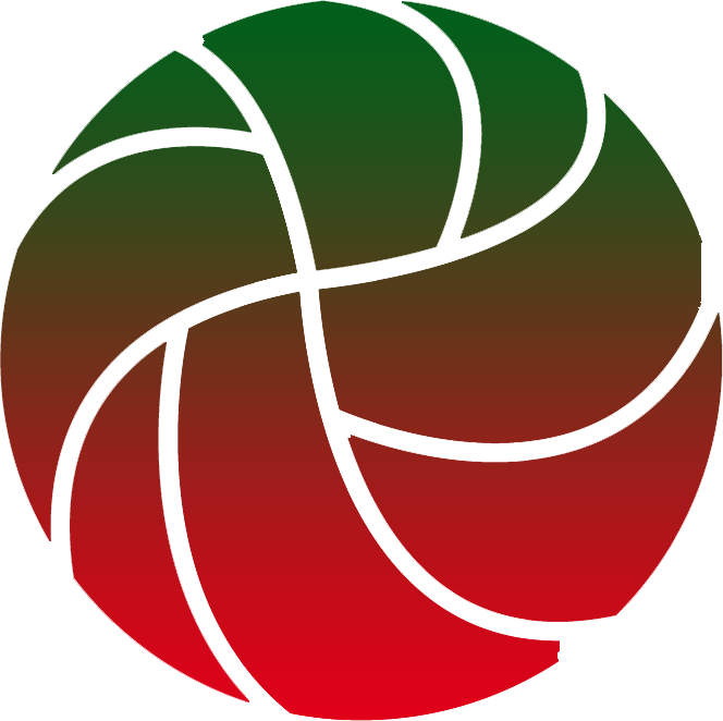 Volleyball Australia Logo (664x662)