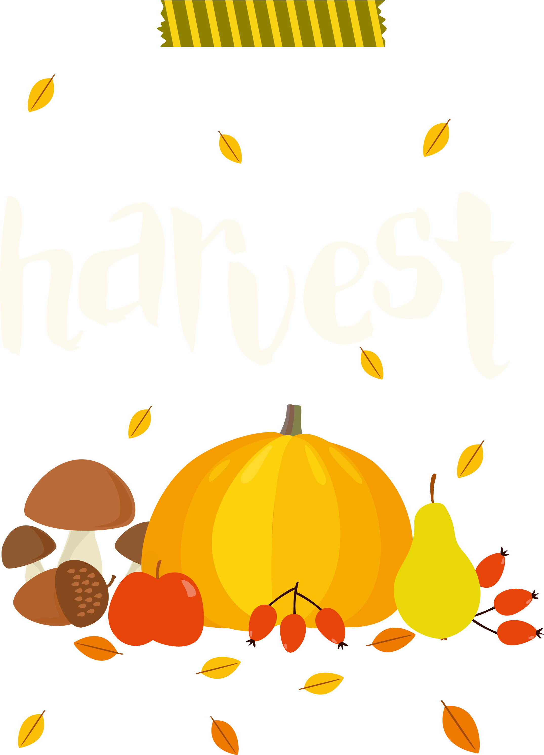 Autumn Harvest Festival - Pumpkin (2150x2987)