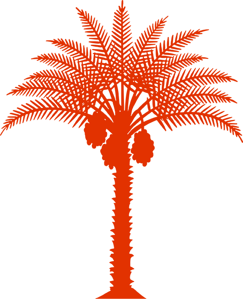 Palm - Date Palm (500x615)