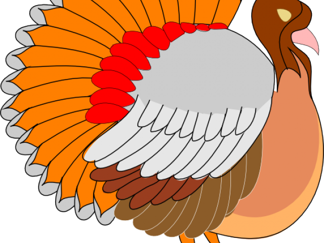 Turkey Bird Clipart Side View - Turkey Clip Art (640x480)