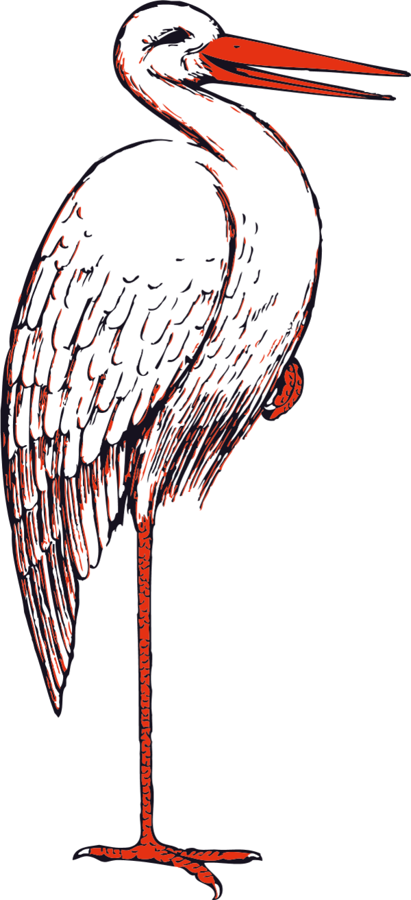 Sea Bird Clipart Bird Beak - Stork Clip Art (600x1312)