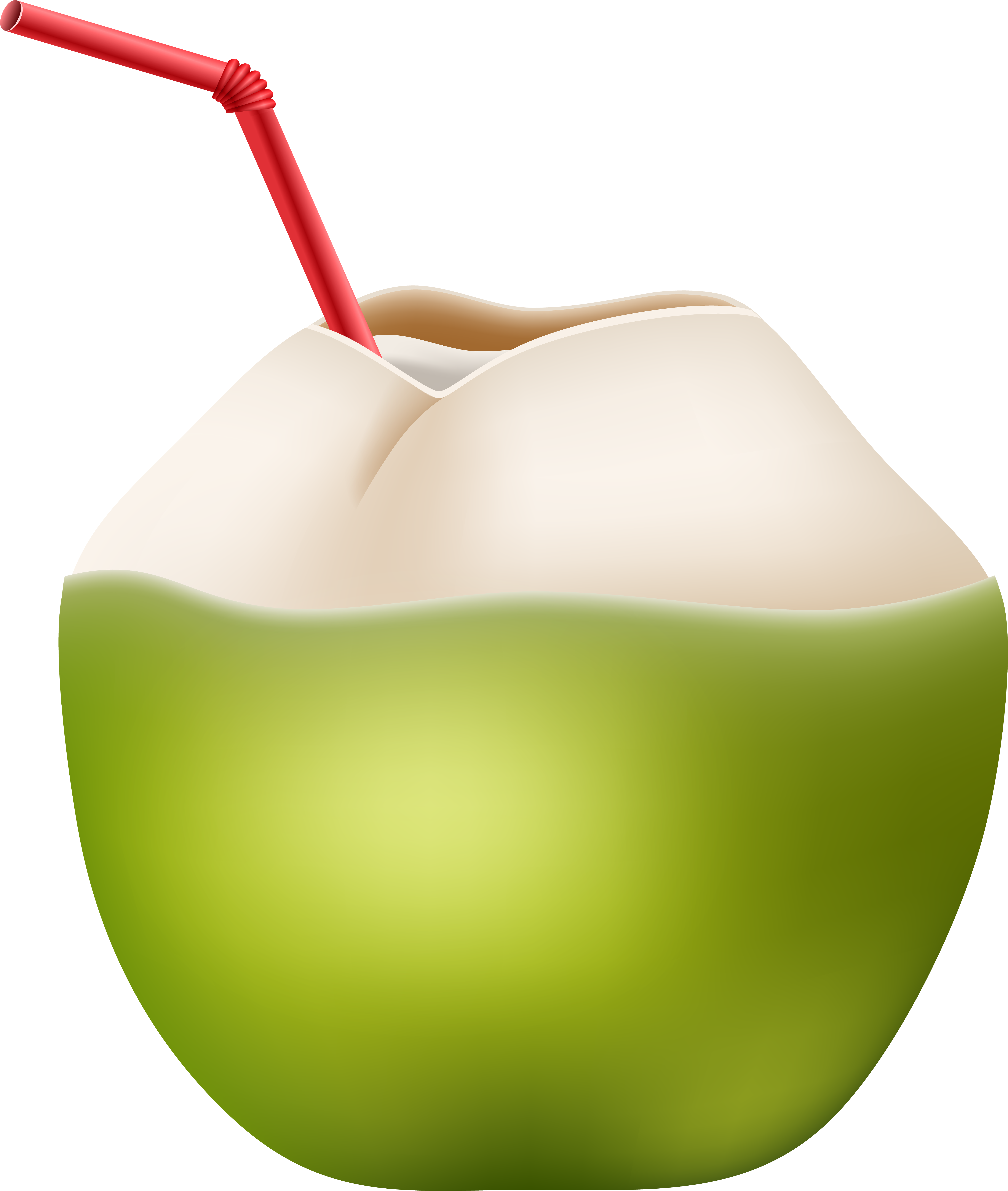 Coconut Water Juice Fizzy Drinks Clip Art - Coconut Water Juice Fizzy Drinks Clip Art (6774x8000)