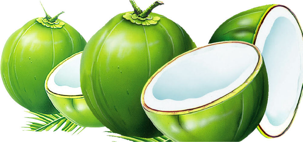 Dodol Coconut Water Nata De Coco Coconut Milk - Coconut (1149x626)