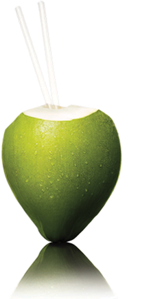Agua De Coco 100% Natural - Coconut Water Image Png (380x500)
