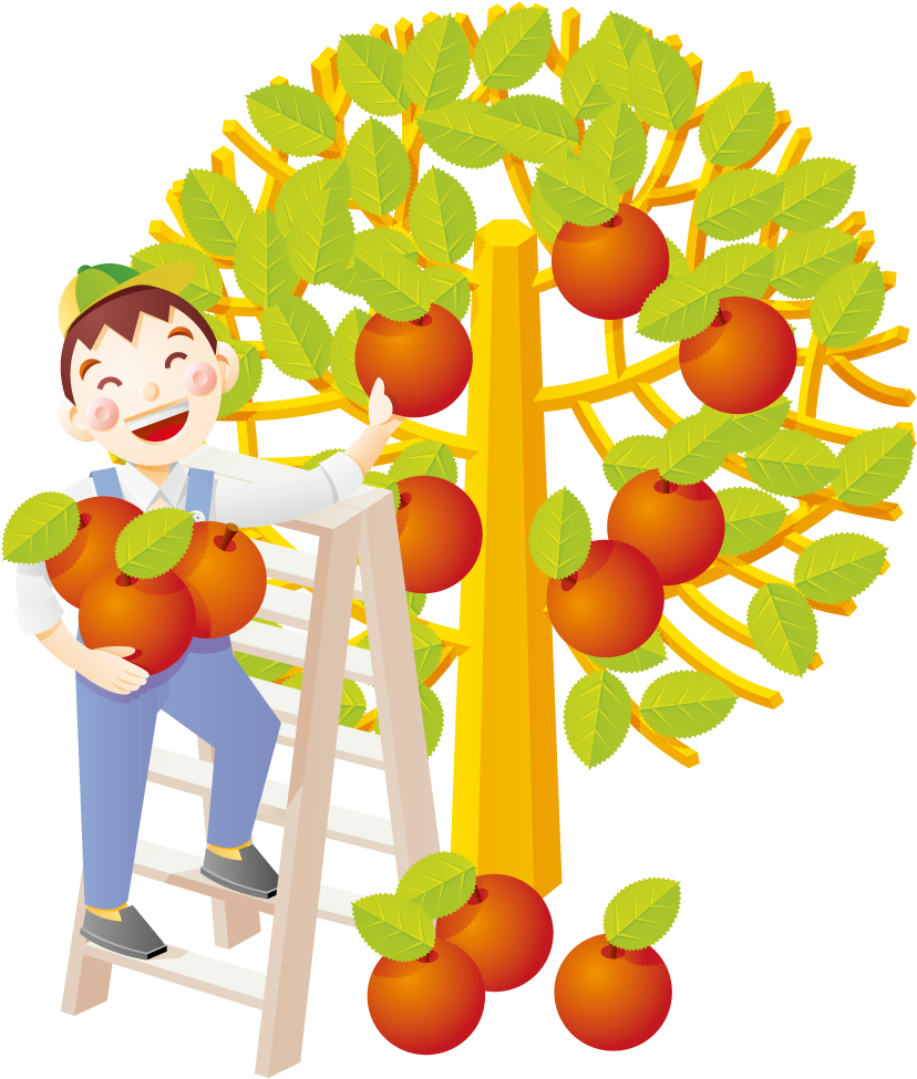 Apple Auglis Illustration - Illustration (1000x1000)