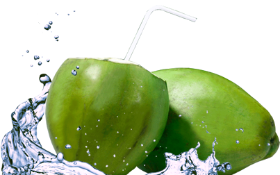 Take Care Your Skin With Coconut One Coconut Water - Coconut (419x294)