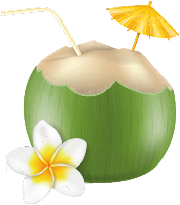 Travel Stickers Holiday Greetings For Imessage Messages - Green Coconut Vector (408x408)