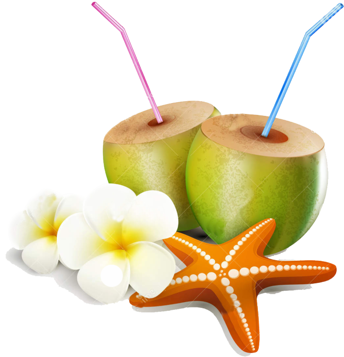 Vector Free Download, Starfish, Tropical, Drink, Google - Coconut (825x870)