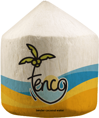 A Wholesome Health Drink - Tenco Tender Coconut (381x424)