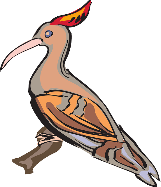 Branch, Wings, Animal, Beak, Feathers, Perched - Clip Art (552x640)