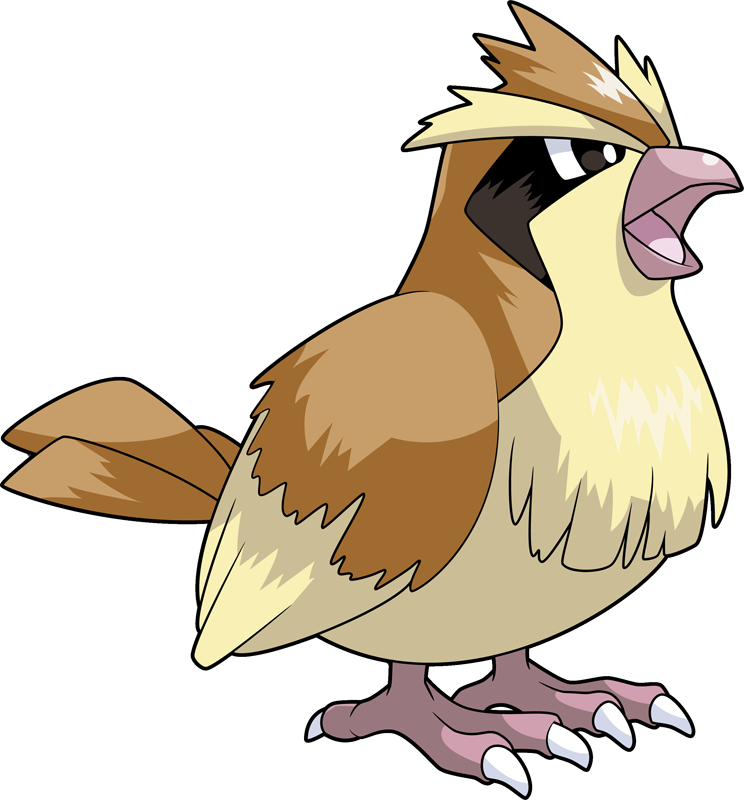 Pidgey Pidgeotto Pidgeot For Kids - Pokemon Pidgey Png (744x800)