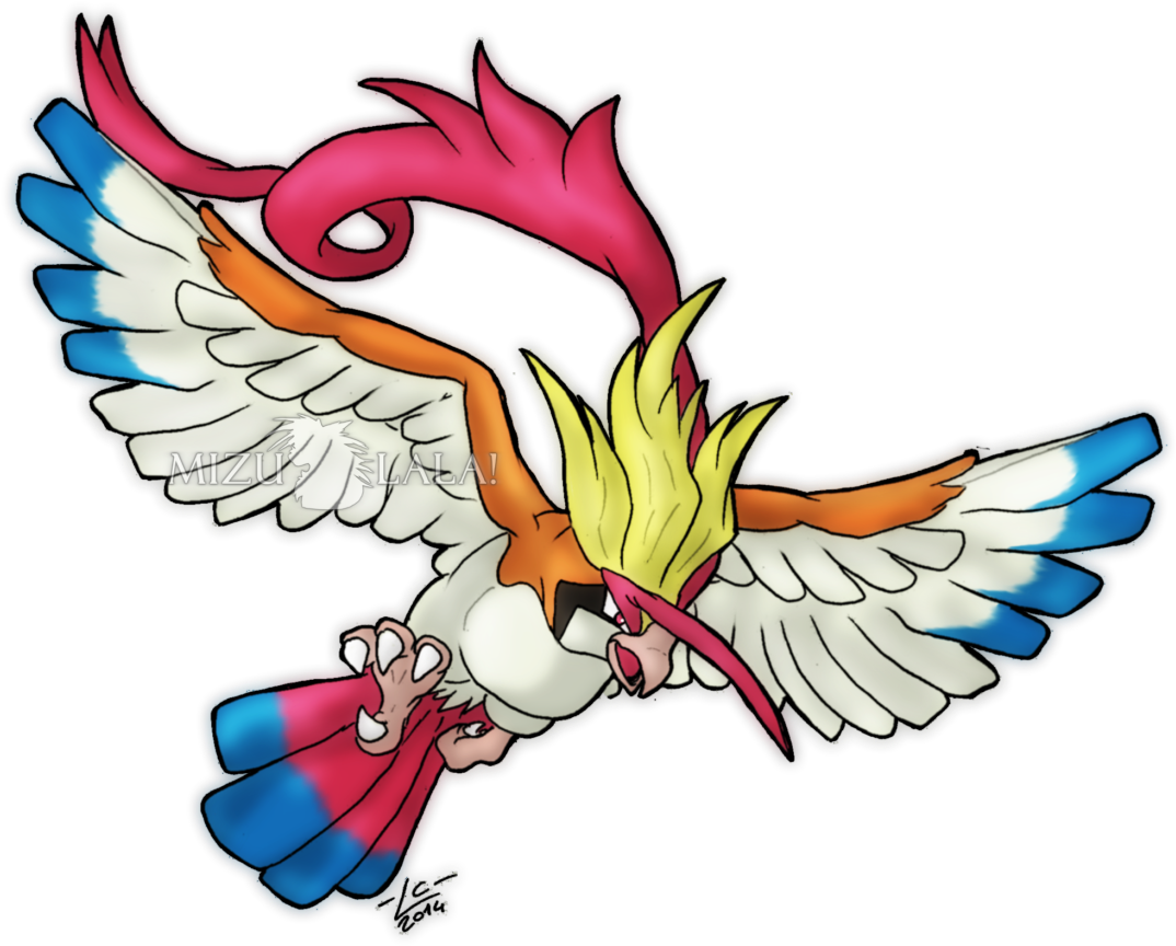 A Mega Pidgeot For Bulbagarden - Tern (1280x931)