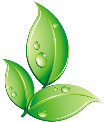 The Hingham Municipal Lighting Plant Is Pleased To - Green Leaf (366x429)