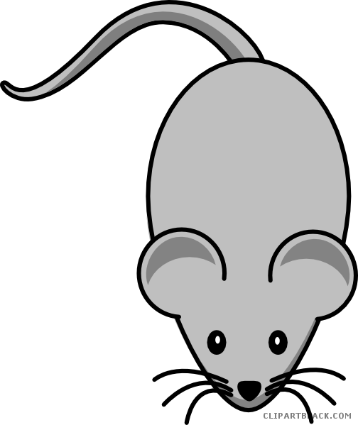 Grey Mouse Animal Free Black White Clipart Images Clipartblack - Mouse  Clipart - (504x599) Png Clipart Download