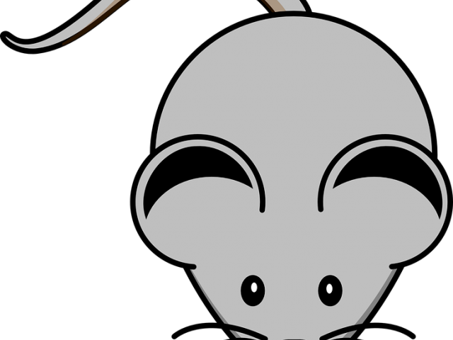 Grey Clipart Rodent - Mouse Clip Art (640x480)