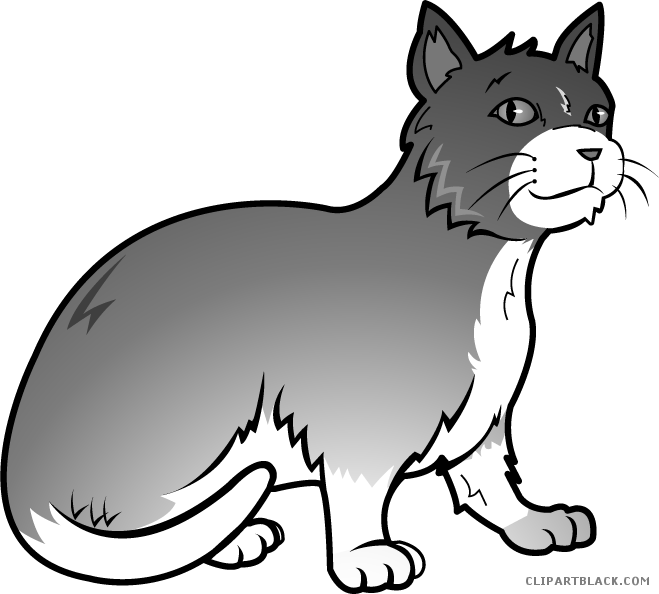 Grey Cat Animal Free Black White Clipart Images Clipartblack - Grey Cat Clip Art (659x594)