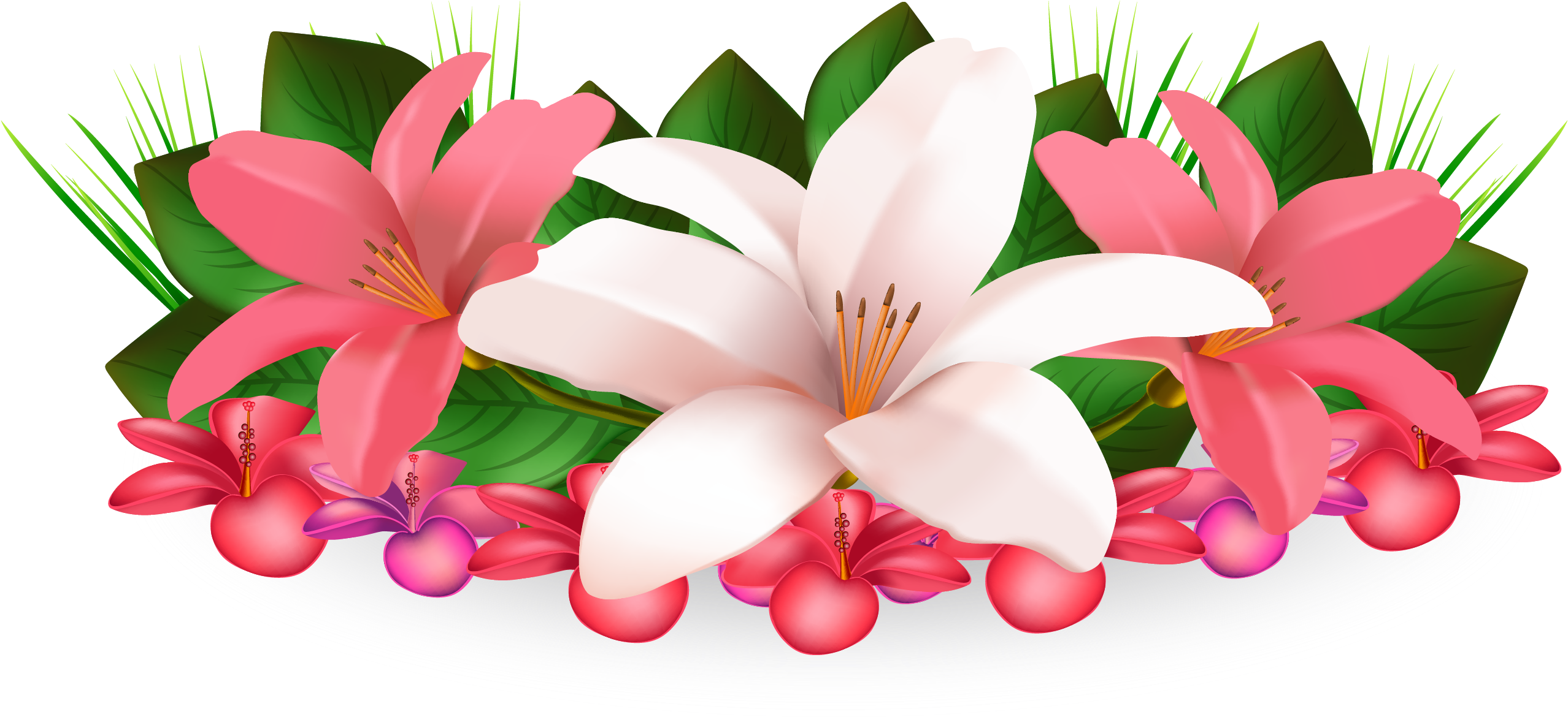 Flower Clip Art - Volume 1 - Ambala - 2xlp (2773x1283)