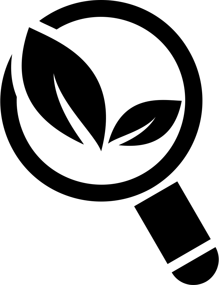 Organic Search Symbol Of Magnification Tool With Leaves - Organic Icon Png (752x980)