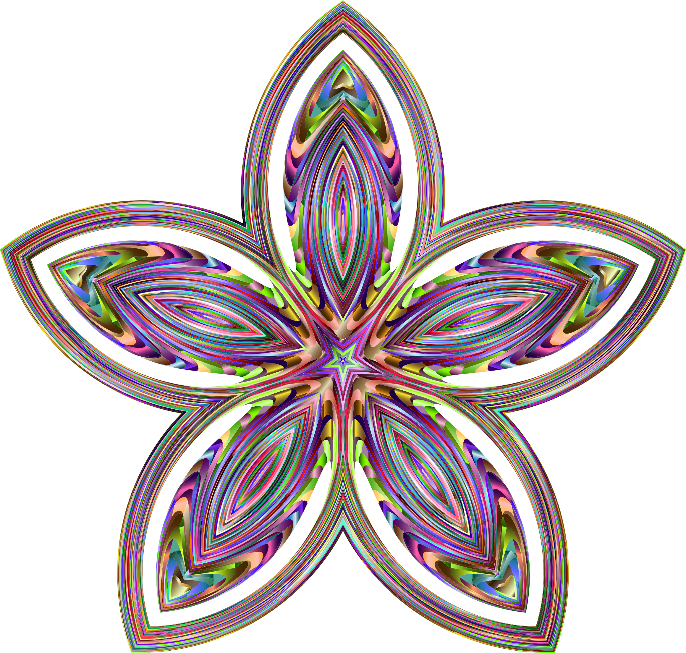 Organic Floral Star - Prismatic Ornamental Frames Png (2320x2208)