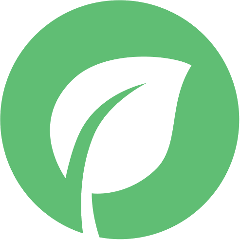 100% Organic Guarantee - Rainbow Ritchie Blackmore's Rainbow (493x493)