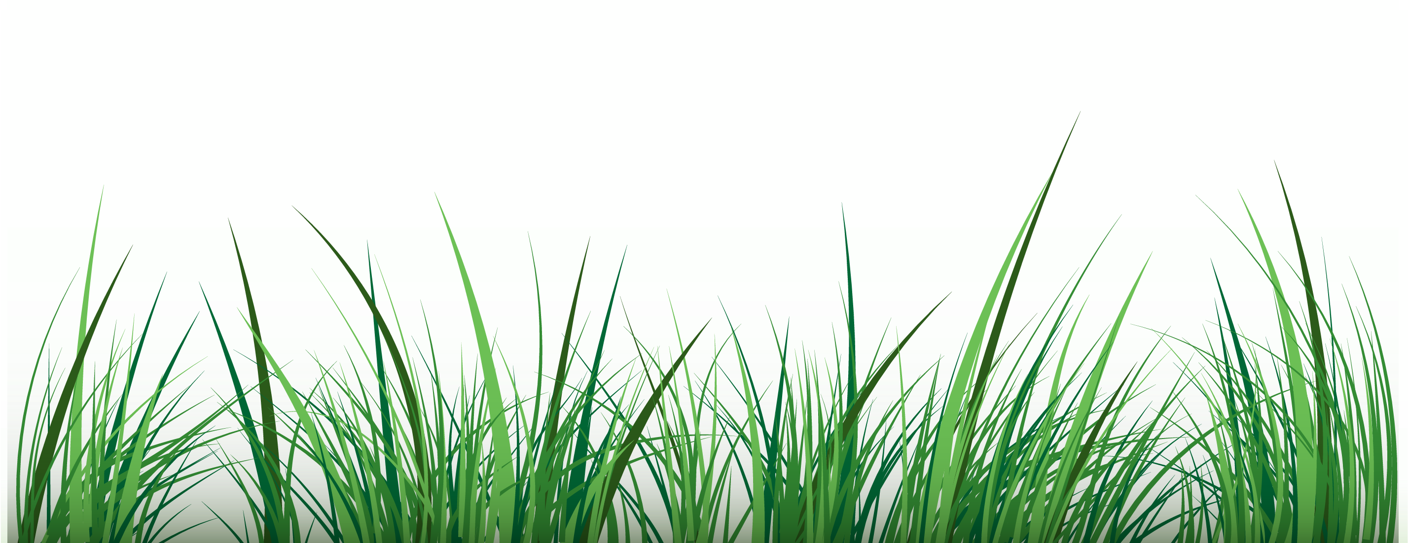 Green Clip Art - Clip Art (3125x3125)