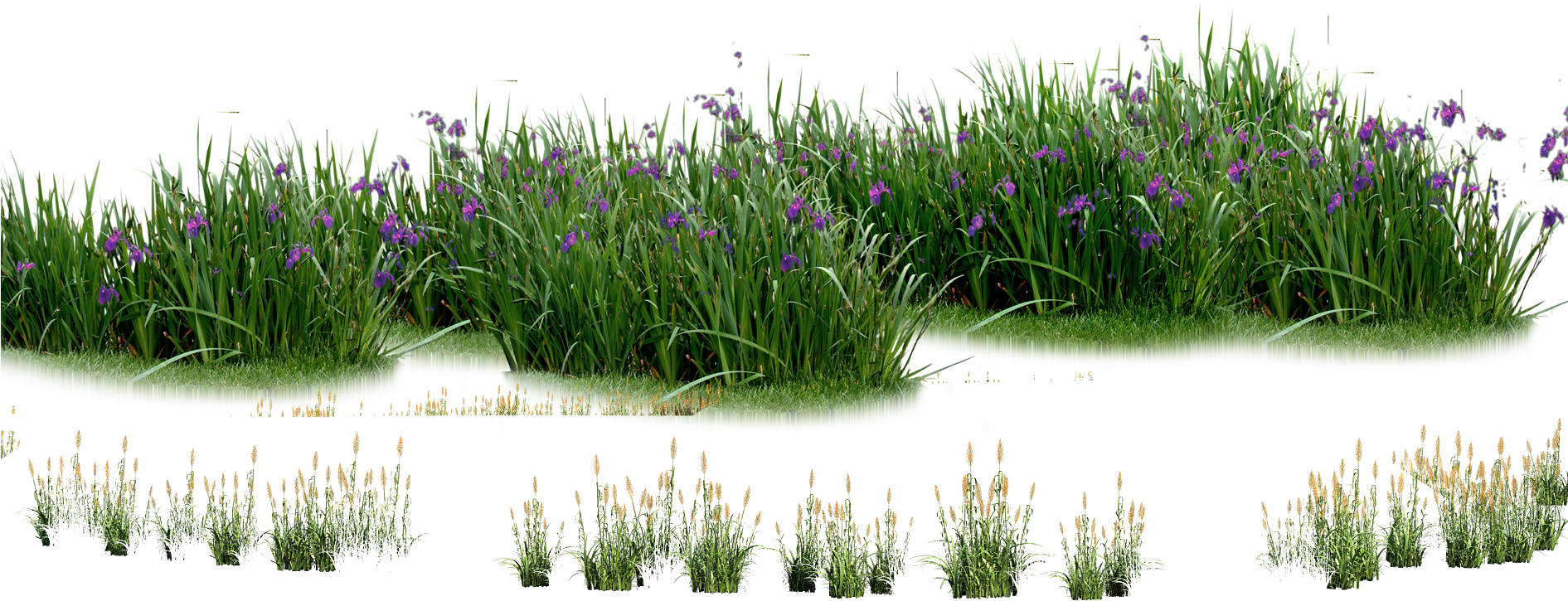 Landscaping Computer File - Grama Png (1890x1134)