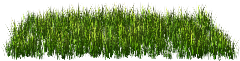 Green Grass Clip Art - Clip Art (800x400)
