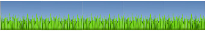 Grass Sky Meadow Green Fresh Grass Grass G - Grass (680x340)