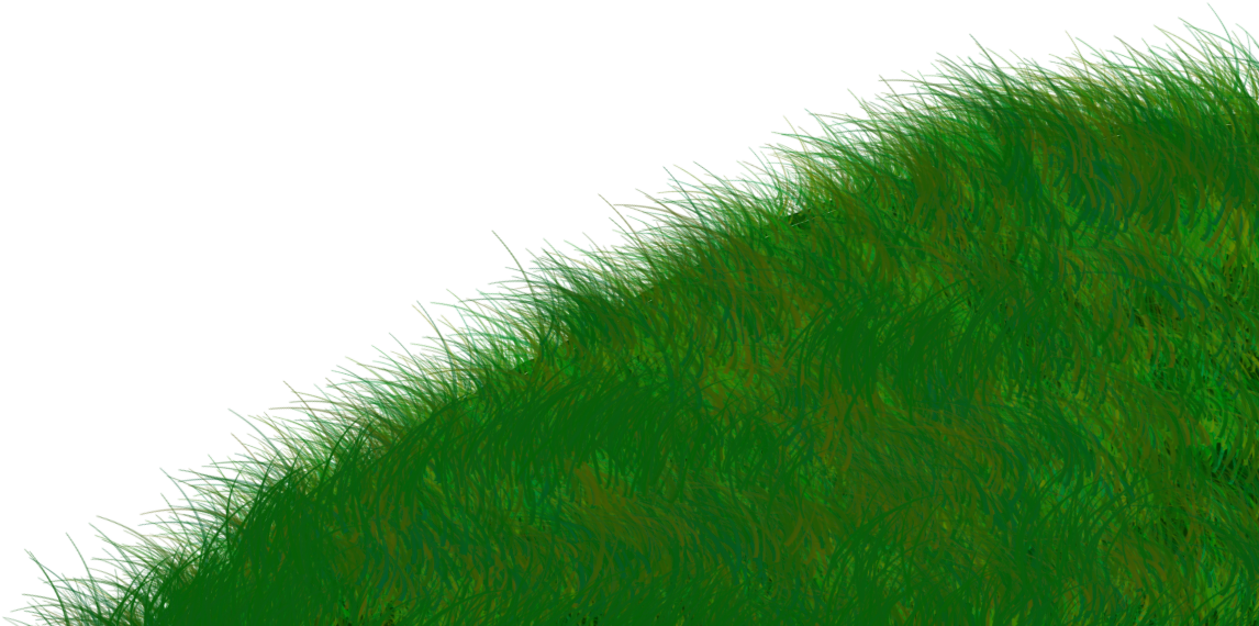 Rumput Animasi - Chlorophyta (1366x768)