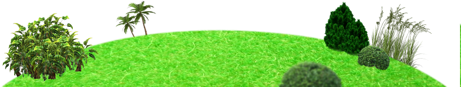 Home » Type » Land - Grass Texture Alpha (960x300)