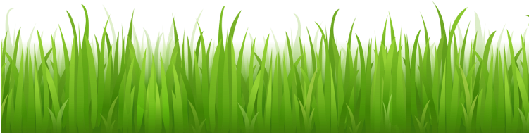 Grass-750x440 - Illustrator Grass (750x440)