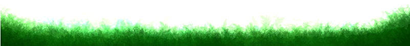 Grass (800x257)