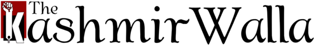 The Kashmir Walla - White [book] (700x241)