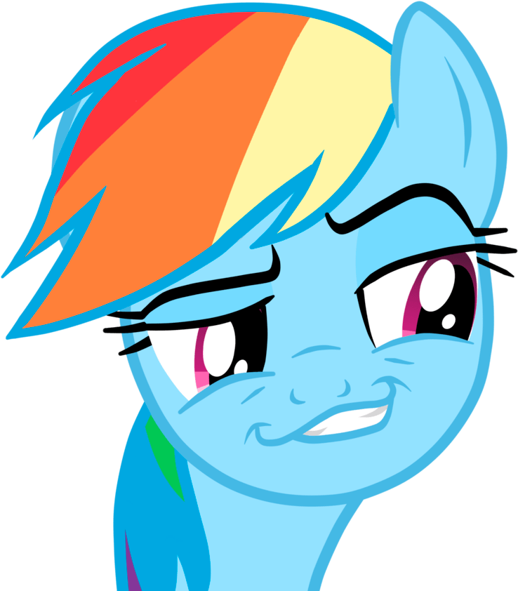 Mlp Rainbow Dash Memes (894x894)
