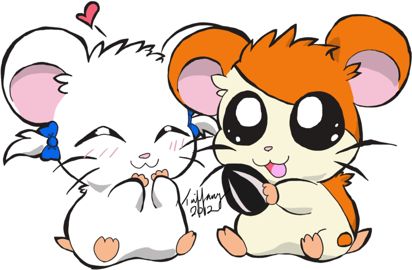 Hamtaro - Hamster Hamtaro (900x559)