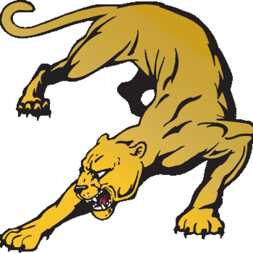 South Cougars - Lawrence South Middle School Logo (500x500)