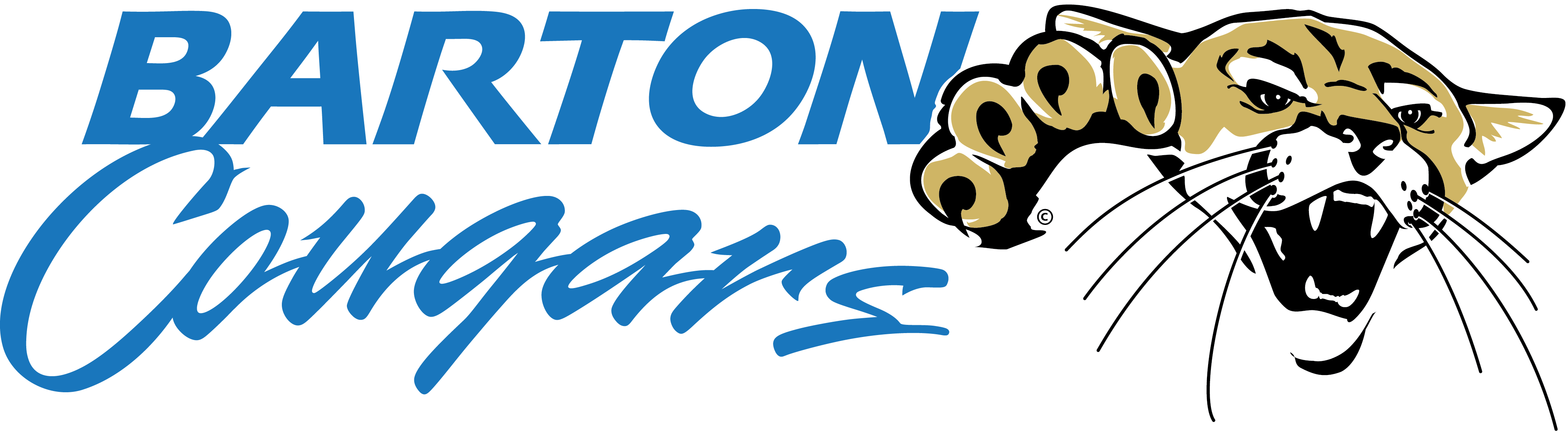 Jpg - Png - Barton County Community College (4000x1105)