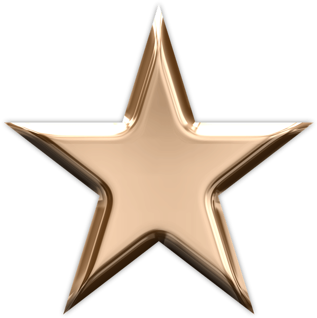 Bronze Star Clipart - Bronze Star Clip Art (679x720)