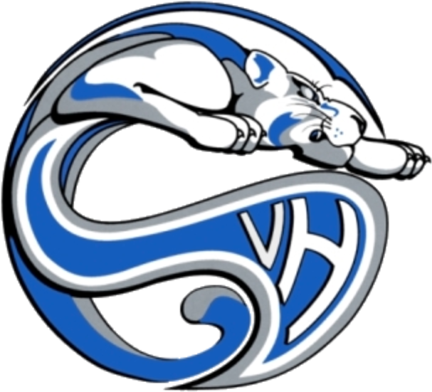 Vernon Hills High School Mascot (720x674)