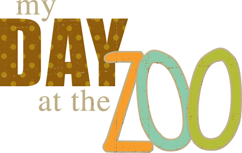 ○•°‿✿⁀zoo Safari‿✿⁀°•○ - Stewie Griffin (800x508)