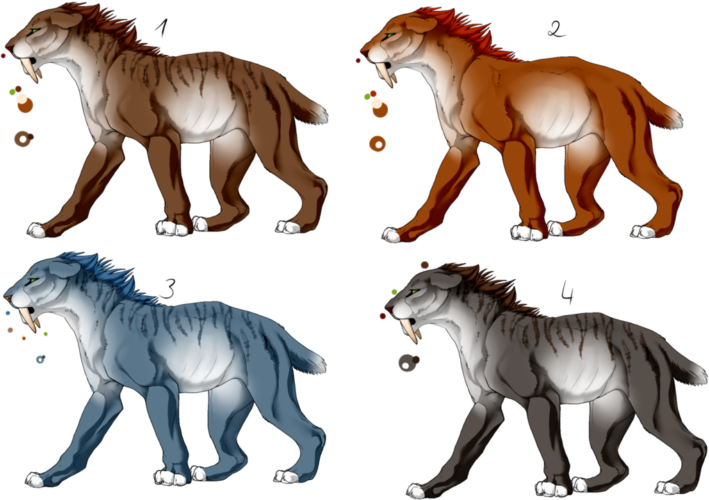 Saber-tooth Cat/tiger Adopt Batch 1 [closed] By Randomeadoptabels - Saber Tooth Tiger Lineart (1054x758)