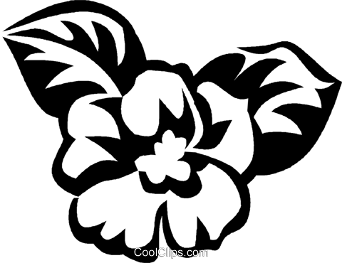 African Violet Royalty Free Vector Clip Art Illustration - African Violet Royalty Free Vector Clip Art Illustration (480x370)