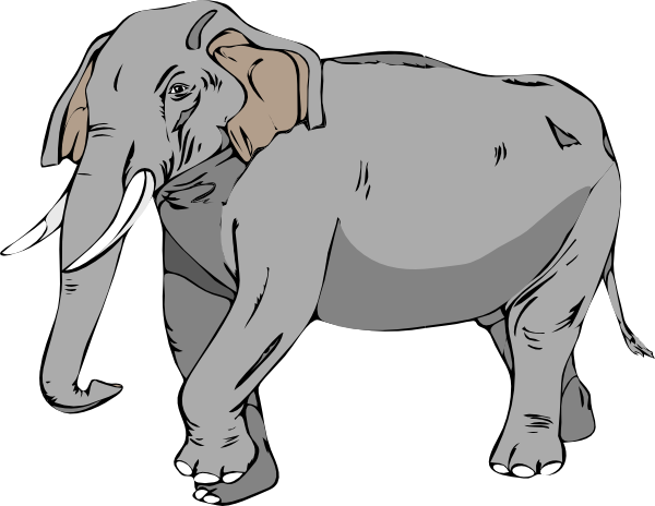 Asian Elephant Clipart Elephant Foot - Big Clipart (971x750)