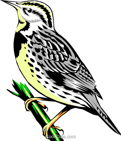 Western Meadowlark Clipart 3 By Rebecca - Western Meadowlark Transparent (411x480)
