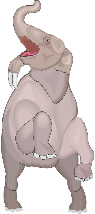 Tusk Clipart Elephant Tail - Elephants (360x720)