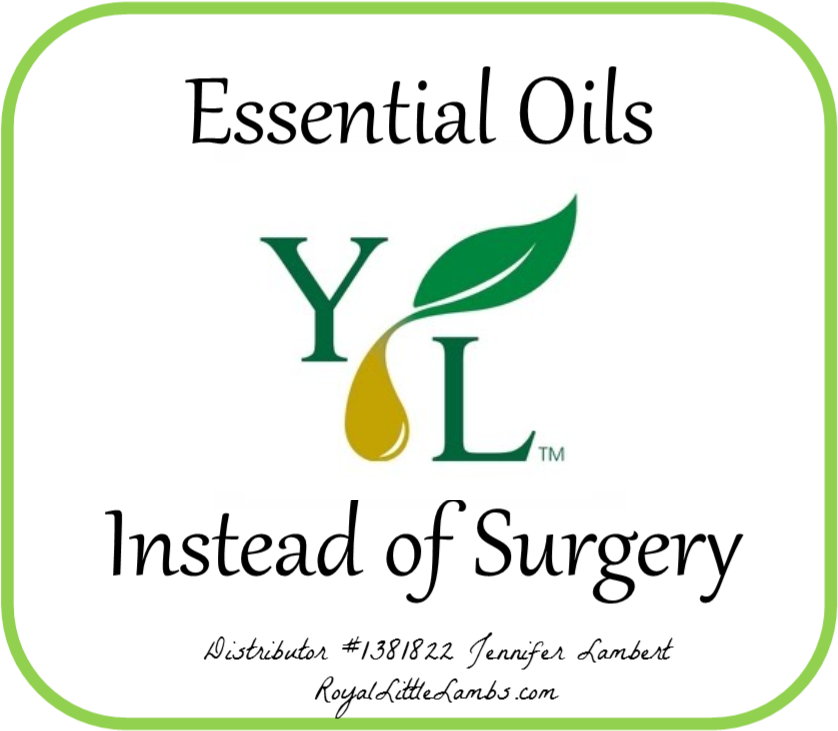 Cute Schoolhouse Clipart - Young Living Essential Oils (838x757)