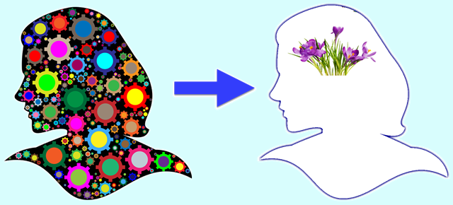 Uncluttered-mind - Rainbow Geared Woman Silhouette Round Ornament (640x290)