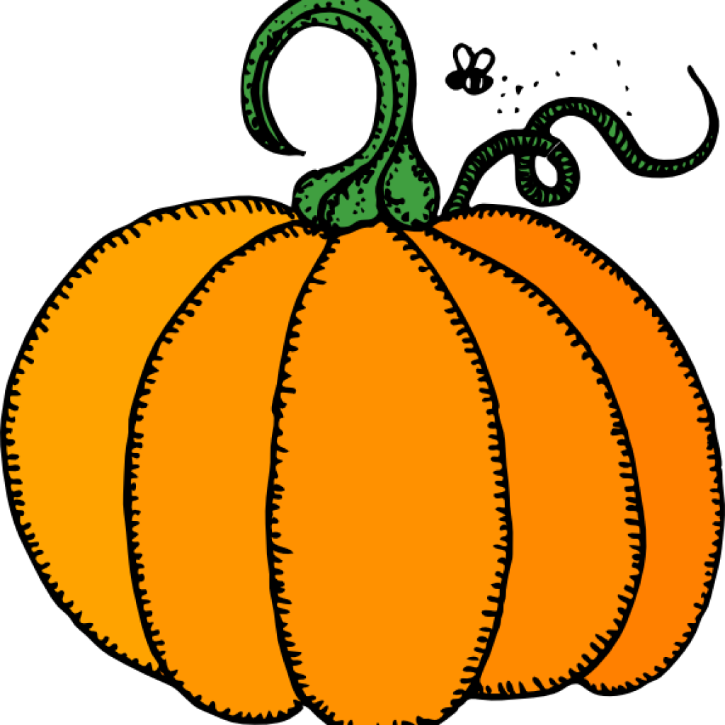 Pumpkin Clipart Pumpkin Clip Art Free Vector 4vector - Pumpkin Clipart Free (1024x1024)