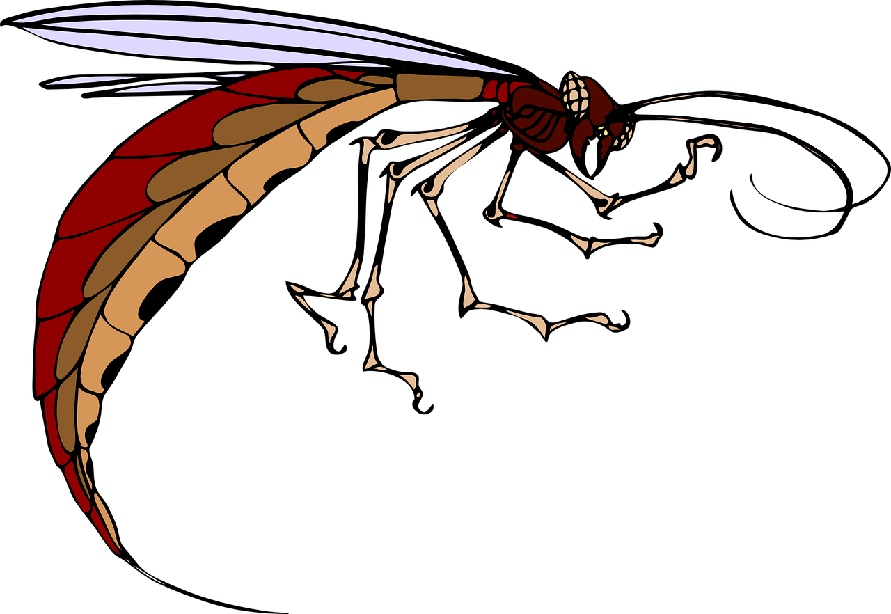 Insect Mosquito Clip Art - Insect Clip Art (1280x882)