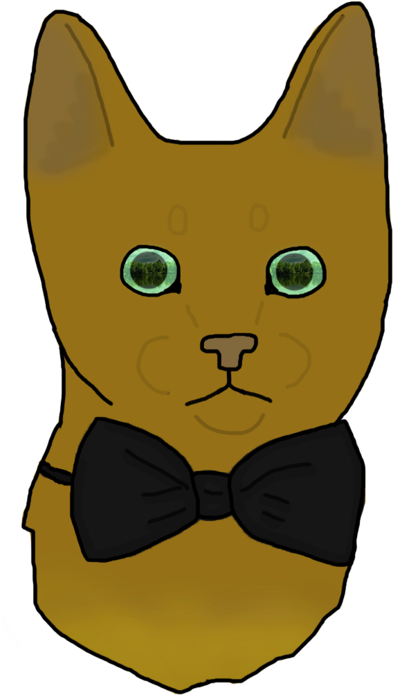 Whiskers Kitten Domestic Short-haired Cat Black Cat - Kitten (928x1300)